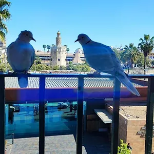 Homestay Betis Del Oro, Seville